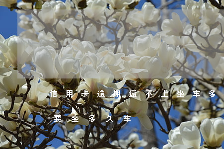 信用卡逾期還不上坐牢多久(欠信用卡還不上要坐多久牢)