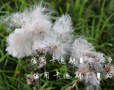 信用卡逾期還不上多久會(huì)坐牢(欠信用卡逾期不還的后果)