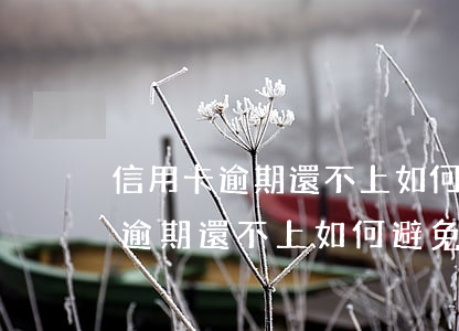 信用卡逾期還不上如何避免被起訴-信用卡逾期還不上如何避免被起訴了