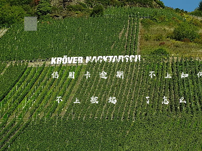 信用卡逾期還不上如何避免被起訴(信用卡還不上被起訴了怎么辦)