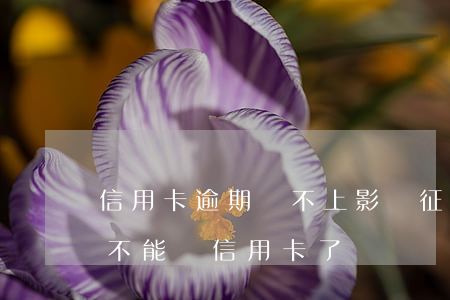 信用卡逾期還不上影響征信嗎(征信有逾期就不能辦信用卡了嗎)