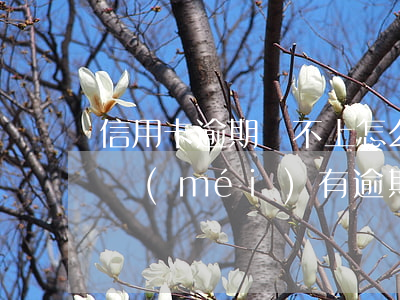 信用卡逾期還不上怎么協(xié)商處理(沒(méi)有逾期的信用卡可以協(xié)商還款嗎)