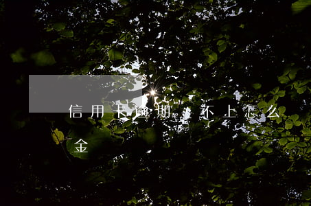 信用卡逾期還不上怎么協(xié)商還本金