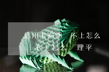 信用卡逾期還不上怎么處理平賬(信用卡逾期還不上怎么處理平賬)