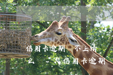 信用卡逾期還不上情況說(shuō)明怎么寫-欠信用卡逾期無(wú)力償還該怎么辦