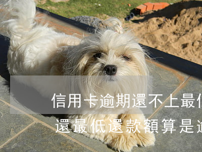 信用卡逾期還不上最低還款嗎(每個月信用卡還最低還款額算是逾期嗎)