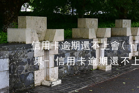 信用卡逾期還不上會(huì)有什么樣后果?-信用卡逾期還不上會(huì)有什么樣后果嗎