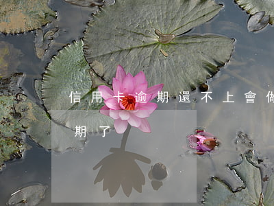 信用卡逾期還不上會做勞嗎(沒注意信用卡逾期了)
