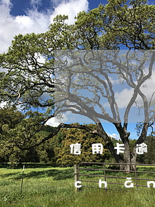 信用卡逾期還不上會凍結(jié)房產(chǎn)嗎-信用卡逾期還不上會凍結(jié)房產(chǎn)嗎