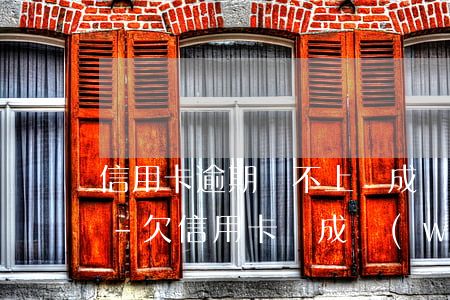 信用卡逾期還不上會成網(wǎng)逃嗎-欠信用卡會成網(wǎng)逃嗎