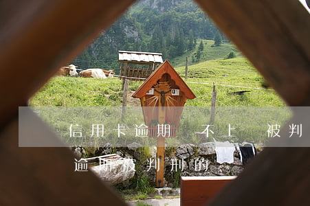 信用卡逾期還不上會被判刑嗎(有沒有信用卡逾期被判刑的)