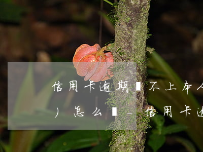 信用卡逾期還不上本人又不在家會(huì)怎么樣-信用卡逾期還不上本人又不在家會(huì)怎么樣嗎