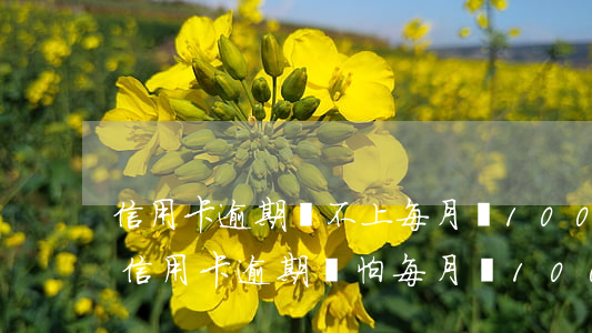 信用卡逾期還不上每月還100可以嗎-欠信用卡逾期別怕每月還100