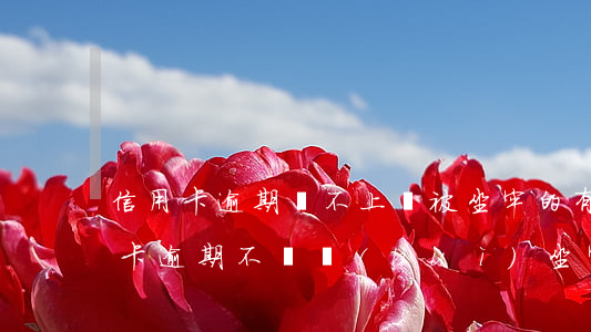 信用卡逾期還不上沒被坐牢的有嗎-欠信用卡逾期不還會(huì)坐牢嗎