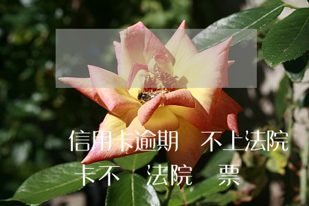 信用卡逾期還不上法院傳票怎么辦-欠信用卡不還法院傳票