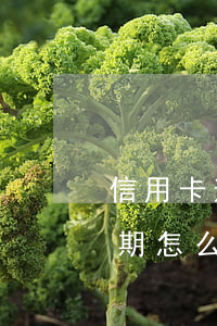 信用卡逾期還不上法院判刑(因判刑信用卡逾期怎么辦)