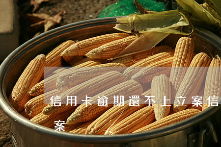 信用卡逾期還不上立案(信用卡逾期還不上立案)