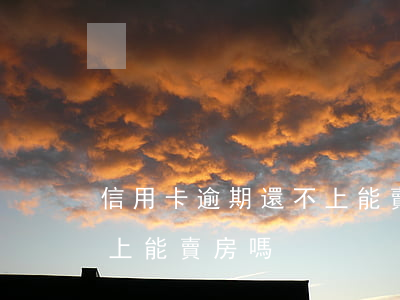 信用卡逾期還不上能賣房嗎(信用卡逾期還不上能賣房嗎)