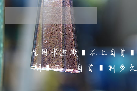 信用卡逾期還不上自首會判多久-信用卡逾期還不上自首會判多久呢