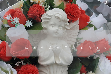 信用卡逾期還不上自首(欠信用卡自首)