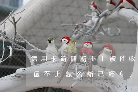 信用卡逾期還不上被催收怎么辦(信用卡逾期還不上怎么辦已經(jīng)催收了)
