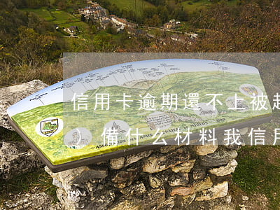 信用卡逾期還不上被起訴我要準(zhǔn)備什么材料(我信用卡逾期了怎么辦)