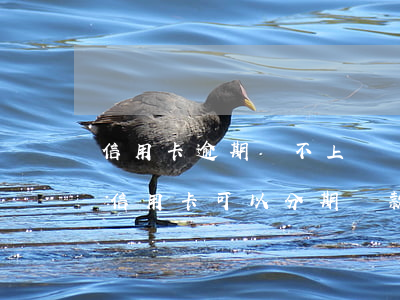 信用卡逾期還不上讓銀行整合分期-逾期的信用卡可以分期還款嗎