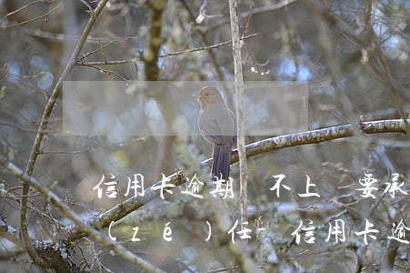 信用卡逾期還不上還要承擔(dān)啥責(zé)任-信用卡逾期還不上還要承擔(dān)啥責(zé)任呢