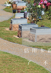 信用卡逾期還不上金額 所有的信用卡都逾期了還不上,怎么辦