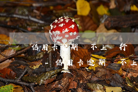 信用卡逾期還不上銀行協(xié)商有用嗎-信用卡逾期還不上銀行協(xié)商有用嗎怎么辦