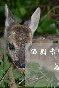 信用卡逾期還不了后果怎樣(欠信用卡逾期不還會怎么樣)