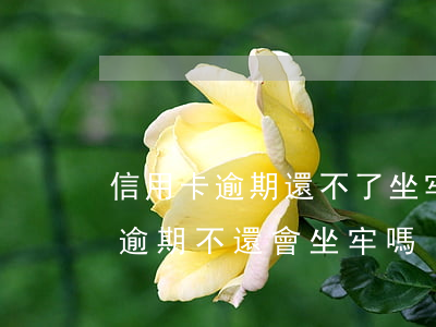 信用卡逾期還不了坐牢幾率大么-欠信用卡逾期不還會坐牢嗎