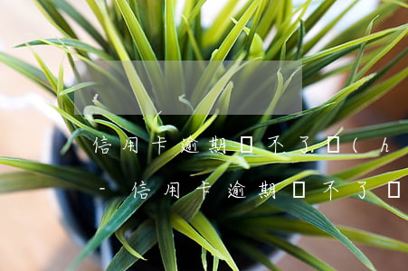 信用卡逾期還不了會(huì)有什么后果-信用卡逾期還不了會(huì)有什么后果嗎