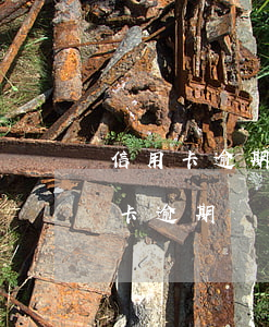 信用卡逾期還不了被銀行催收怎么辦-信用卡逾期還不了被銀行催收怎么辦呢