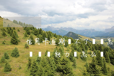 信用卡逾期還不了賬單怎么還(欠信用卡逾期確實沒能力還怎么辦)