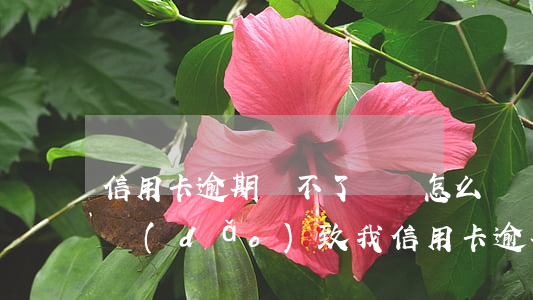 信用卡逾期還不了錢會怎么樣(別人欠錢不還導(dǎo)致我信用卡逾期)