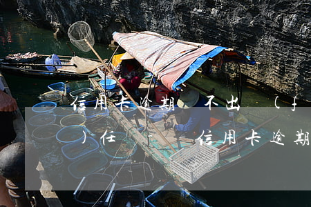信用卡逾期還不出負(fù)法律責(zé)任嗎-與信用卡逾期相關(guān)的法律法規(guī)