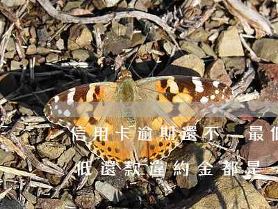信用卡逾期還不夠最低 信用卡逾期還不夠最低還款違約金都是一直那么多嗎