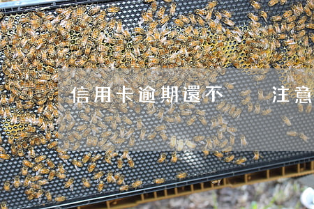 信用卡逾期還不夠(沒注意信用卡逾期了)