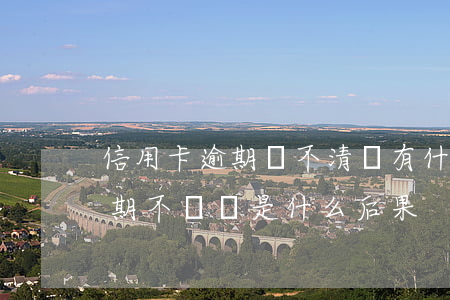 信用卡逾期還不清會有什么后果(借信用卡逾期不還會是什么后果)
