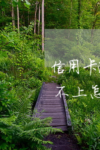 信用卡逾期還不起不敢上班(欠信用卡逾期還不上怎么辦)