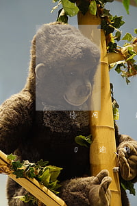 信用卡逾期還不起了利息多少(信用卡5000逾期兩年利息多少)