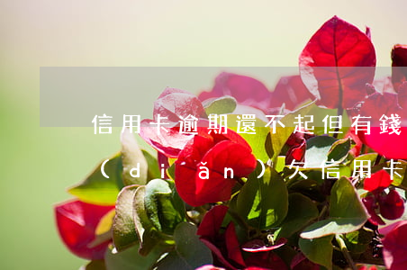 信用卡逾期還不起但有錢(qián)存點(diǎn)(欠信用卡的錢(qián)逾期了每個(gè)月還一點(diǎn)可以嗎)