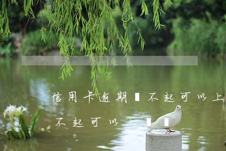 信用卡逾期還不起可以上門嗎(信用卡逾期還不起可以上門嗎)