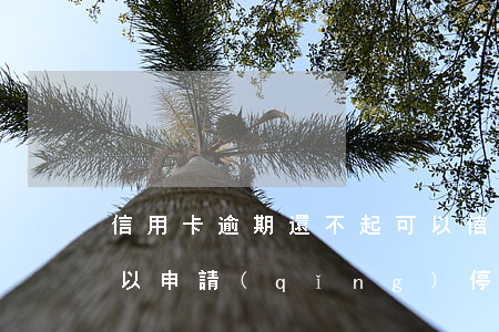 信用卡逾期還不起可以(信用卡逾期還不起可以申請(qǐng)停息嗎)
