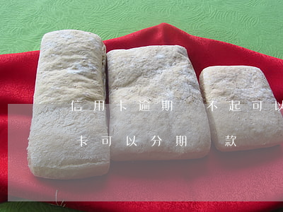 信用卡逾期還不起可以分期還嗎(逾期的信用卡可以分期還款嗎)