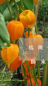 信用卡逾期還不起可以找律師嗎(欠信用卡律師來(lái)找是什么情況)
