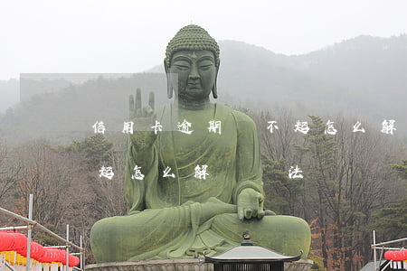 信用卡逾期還不起怎么解決(信用卡逾期還不起怎么解決辦法)