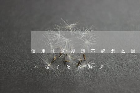 信用卡逾期還不起怎么辦小視頻(欠信用卡還不起了怎么解決)