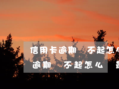 信用卡逾期還不起怎么辦最快還款-信用卡逾期還不起怎么辦最快還款方式